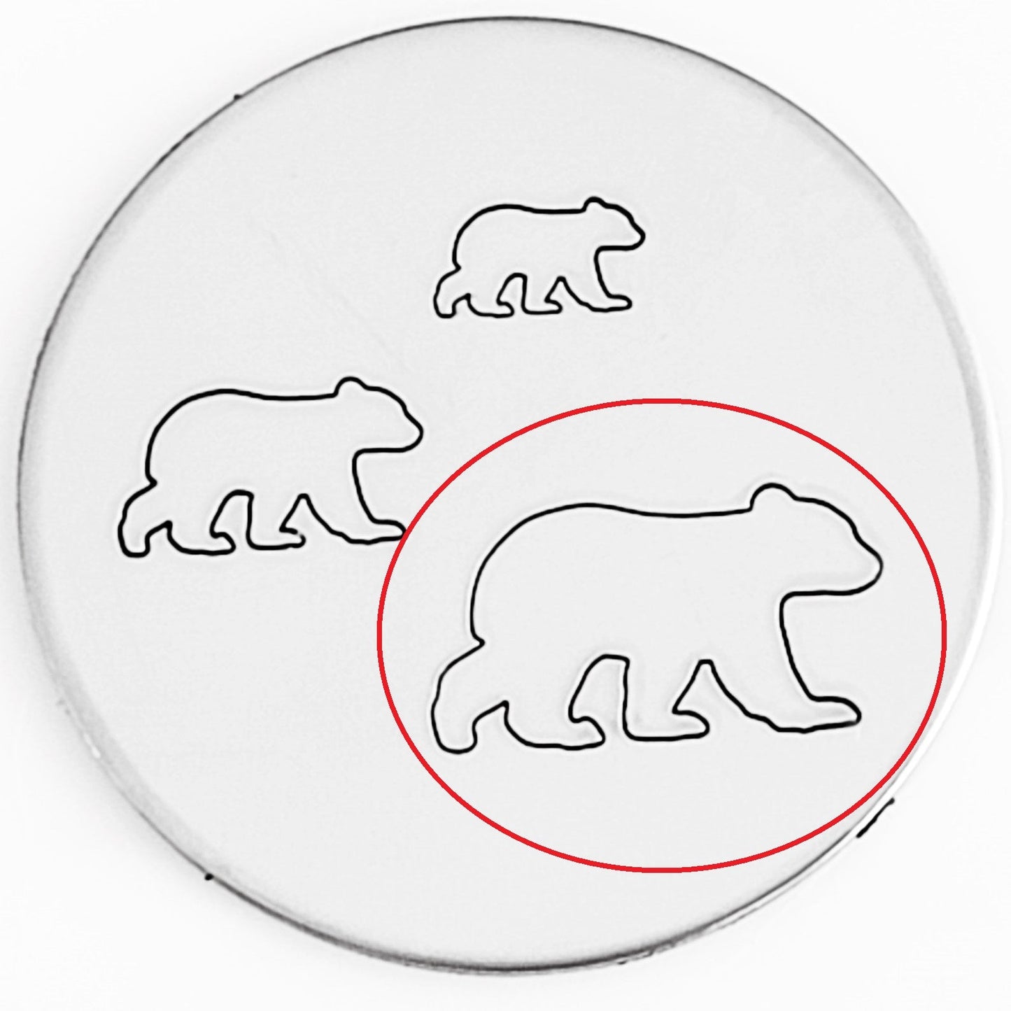 Bear Outlines - Larger Sizes